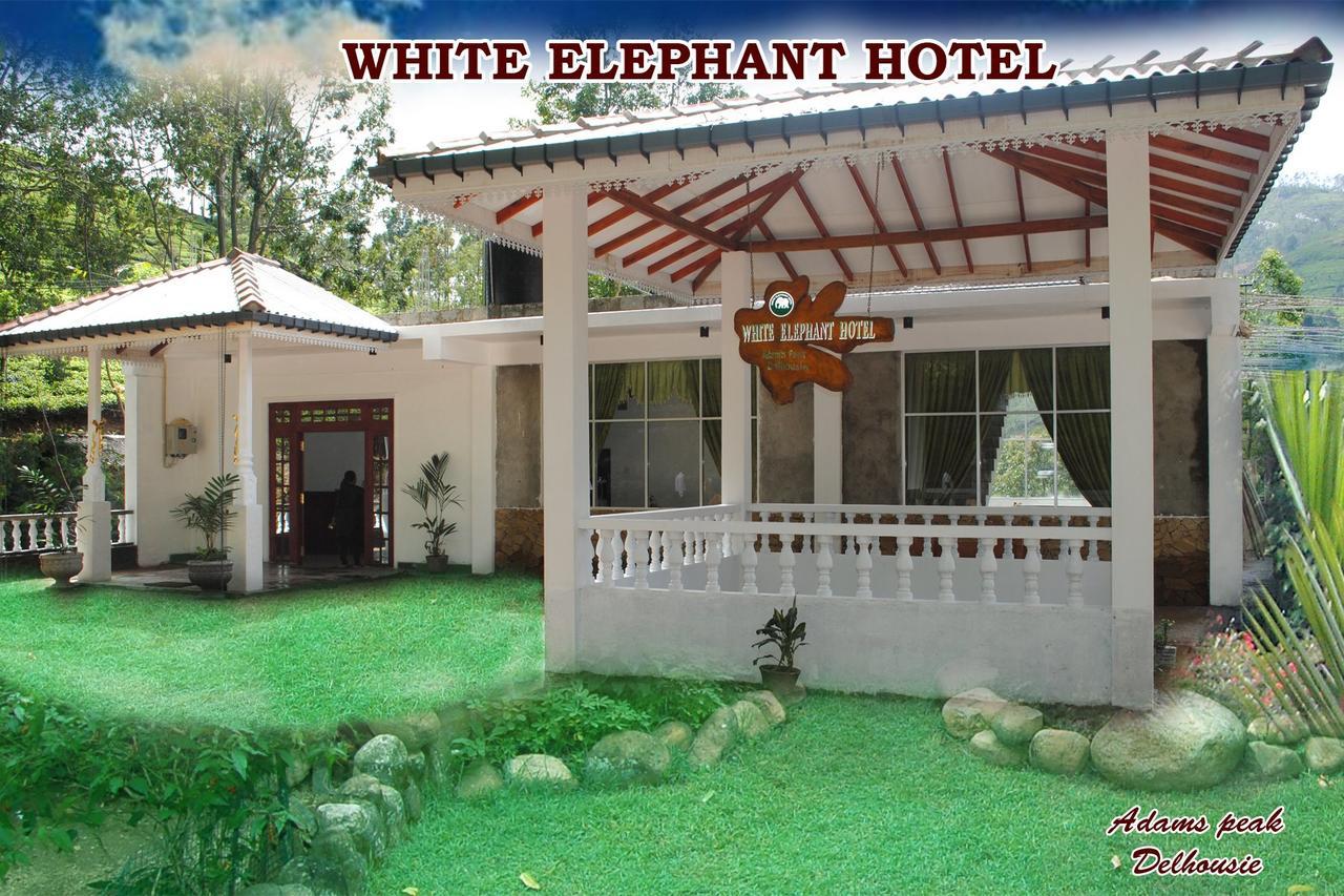 White Elephant Hotel Maskeliya Екстер'єр фото